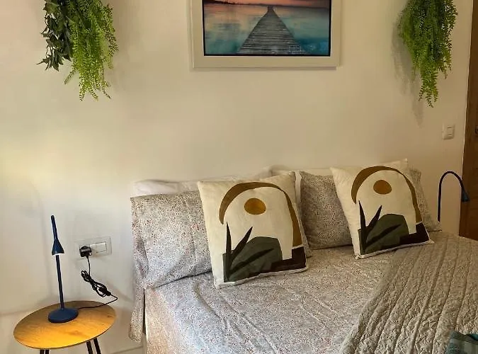 Dream Discovery * Santa Cruz de Tenerife